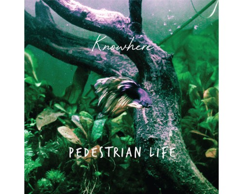 Knowhere - Pedestrian Life