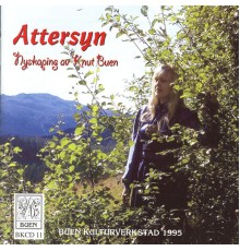 Knut Buen - Attersyn