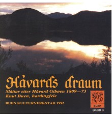 Knut Buen - Håvards Draum