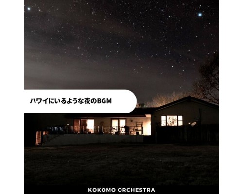 Kokomo Orchestra, Nobuhiro Urasawa - ハワイにいるような夜のbgm