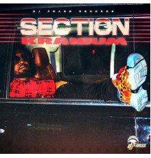 Kranium - Section