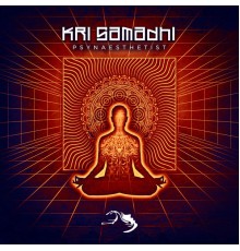 Kri Samadhi - Psynaesthetist