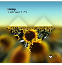 Kruup - Sunflower / Pot