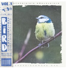 Kryptic - Bird, Vol. 1