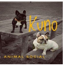 Kuno - Animal Social