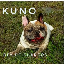 Kuno - Rey de Charcos