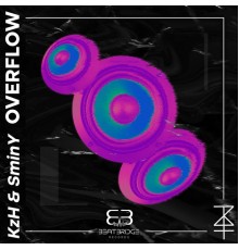 KzH & SminY - Overflow