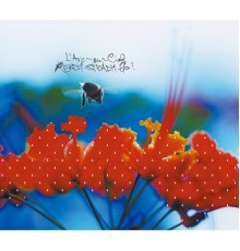 L'Arc-en-Ciel - READY STEADY GO