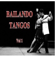 La Orquesta Tanguera - Bailando Tangos, Vol. 1  (Instrumental)