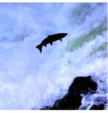 Lackluster - The Stationary Trout EP