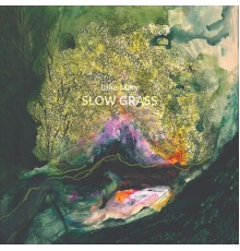 Lake Mary - Slow Grass