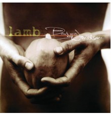 Lamb - Between Darkness And Wonder