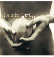 Lamb - Between Darkness And Wonder