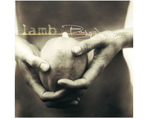 Lamb - Between Darkness And Wonder