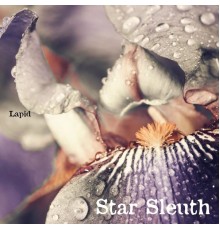 Lapid - Star Sleuth