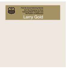 Larry Gold - Feel so Good