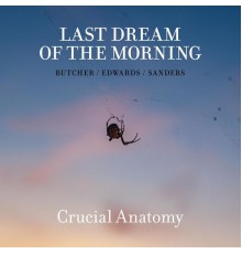 Last Dream of the Morning - Crucial Anatomy