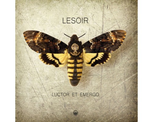 LeSoir - Luctor Et Emergo