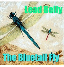 Lead Belly - The Bluetail Fly