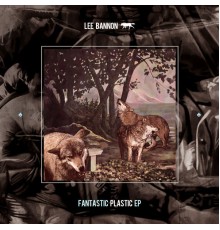 Lee Bannon - Fantastic Plastic EP