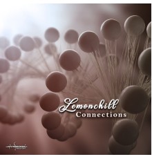 Lemonchill - Connections