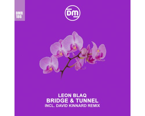 Leon Blaq - Bridge & Tunnel