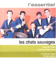 Les Chats Sauvages - Essentiel 2