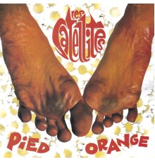 Les Satellites - Pied Orange