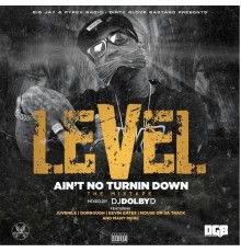 Level - Ain't No Turnin' Down