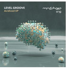 Level Groove - Acidized (Original Mix)