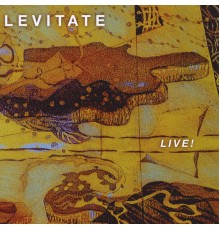 Levitate - Live