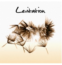 Levitation - Levitation (Album Version)