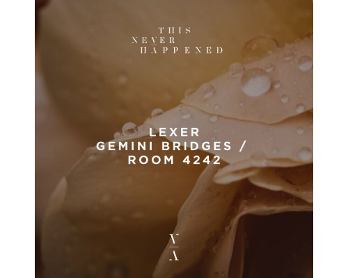 Lexer - Gemini Bridges / Room 4242