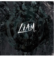 Liam - Liam