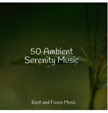 Life Sounds Nature, Ambient Forest, Pink Noise - 50 Ambient Serenity Music