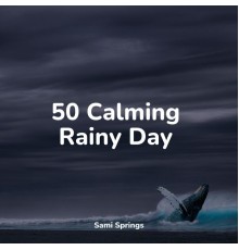 Life Sounds Nature, Internal Yoga, Música para Relaxar Maestro - 50 Calming Rainy Day