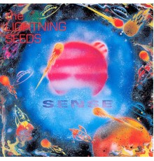 Lightning Seeds - Sense