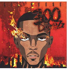 Lil Reese - 300 DegreZz