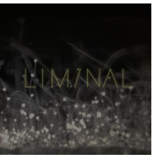 Liminal - Liminal 2