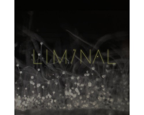 Liminal - Liminal 2