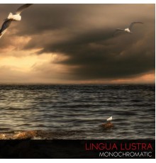 Lingua Lustra - Monochromatic (Original Mix)