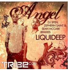 Liquid Deep - Angel