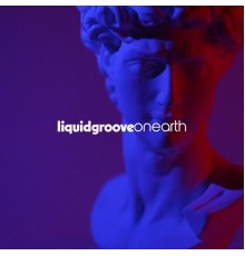 Liquid Groove - On Earth