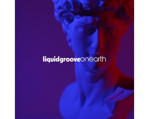 Liquid Groove - On Earth