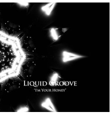 Liquid Groove - I'm Your Honey