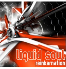 Liquid Soul - Reinkarnation