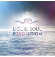 Liquid Soul - Revolution