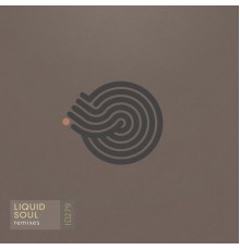 Liquid Soul - Remixes EP