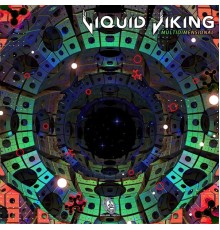 Liquid Viking - Multidimensional