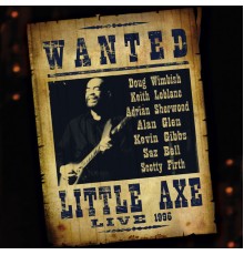 Little Axe - Wanted (Live)